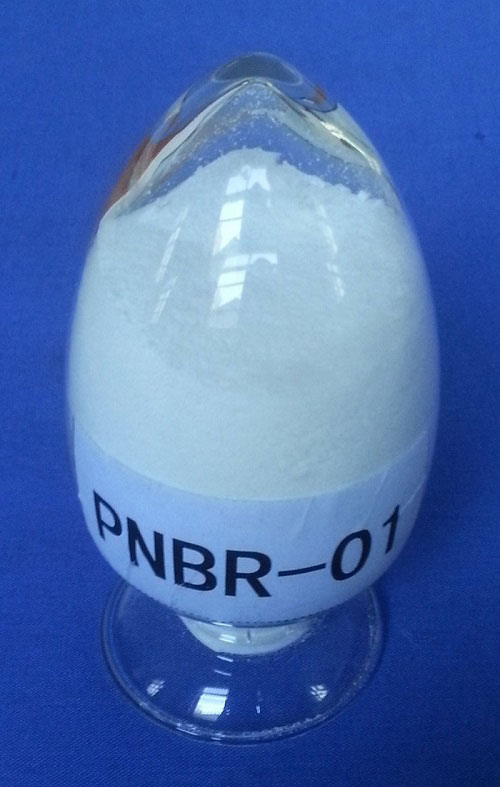 PNBR-01